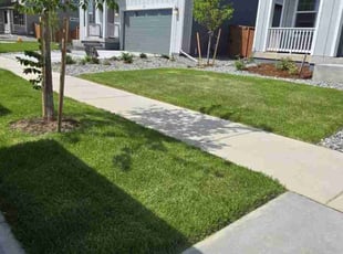 Chelsea H.'s lawn care services service result