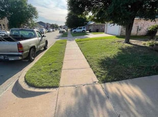 Ken P.'s lawn care service result