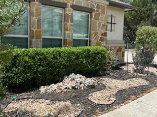 Cameron F.'s Bush Trimming service result