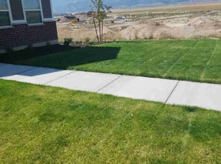 Stori F.'s lawn care service result