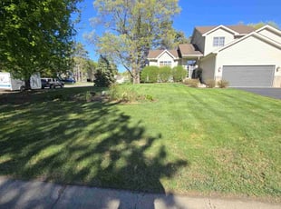 Lynda A.'s Cleanups service result