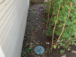 Kathryn Y.'s Flower Bed Weeding service result