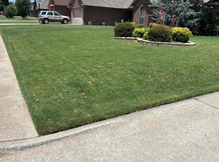Clifton H.'s lawn care services service result