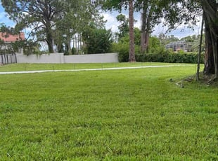 Sydney M.'s turf maintenance service result