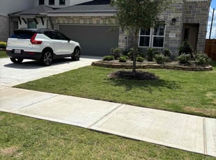 Mitchell B.'s turf care service result