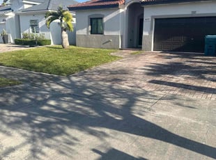 Denise M.'s grass maintenance service result