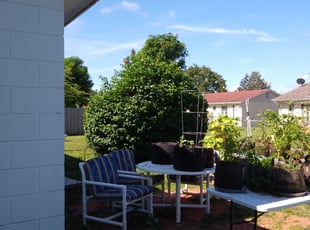 Donnell G.'s Bush Trimming service result