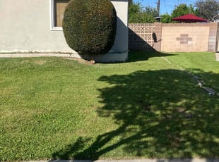 Sandra K.'s Bush Trimming service result