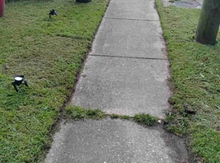 Jo S.'s lawn service service result