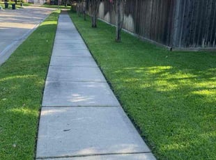 Michael F.'s turf maintenance service result