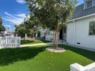 Mimi S.'s yard service service result