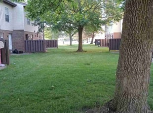 Robert W.'s grass maintenance service result