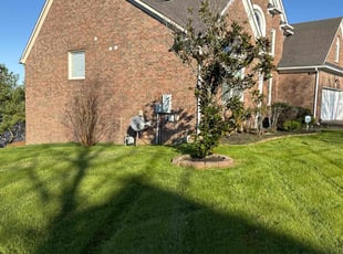 Rebecca A.'s turf maintenance service result