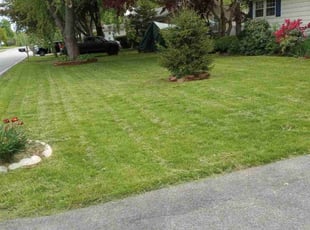Hunter Q.'s lawn maintenance service result