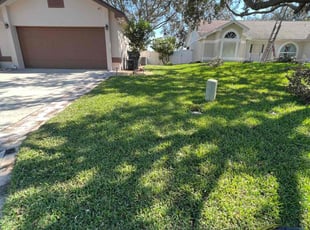 Alison P.'s grass maintenance service result