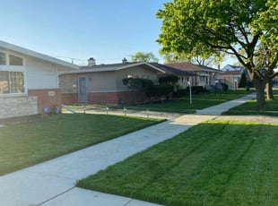 Allison W.'s turf care service result