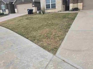 Yrameinna A.'s turf maintenance service result