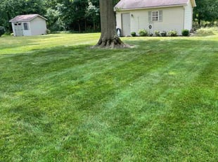 Nannette F.'s lawn care services service result