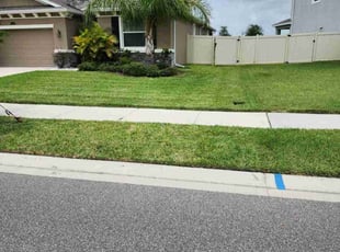 Cate P.'s turf care service result