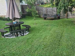 Latriece E.'s grass maintenance service result
