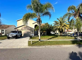 Nicholas P.'s lawn maintenance service result