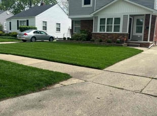 Farzad K.'s grass maintenance service result
