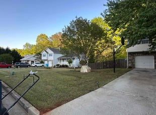 Rachelle I.'s lawn service service result