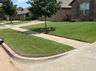 Cheryl D.'s lawn care service result