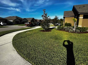 Ziyarat K.'s grass cutting service result
