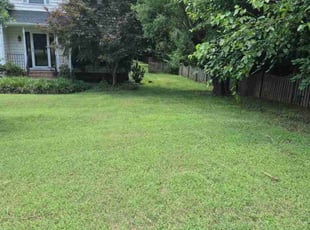 Julie M.'s turf care service result