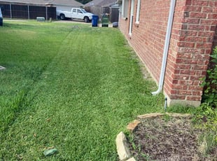 Shawn M.'s grass maintenance service result
