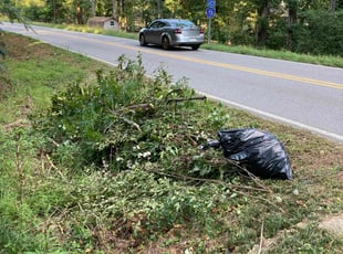 Latoya W.'s Bush Trimming service result