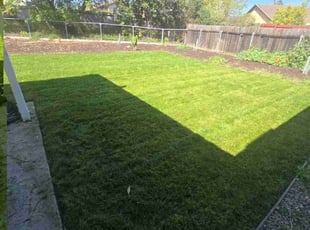 Sherl L.'s lawn care services service result
