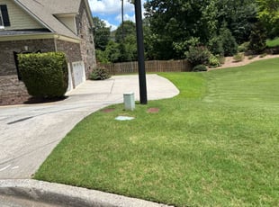Matthew B.'s grass cutting service result