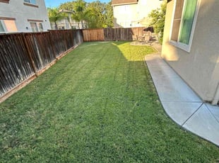 Jenn M.'s lawn care service result
