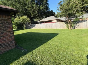 Deshena W.'s lawn service service result