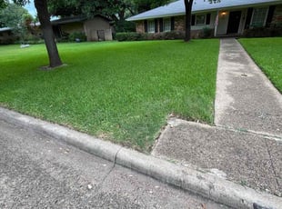 Tyvontae N.'s grass cutting service result