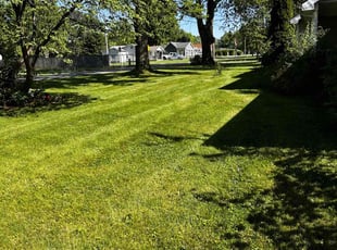 Tom M.'s turf care service result