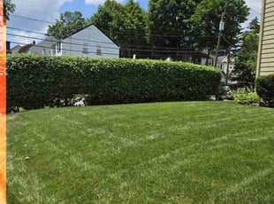 John S.'s grass maintenance service result