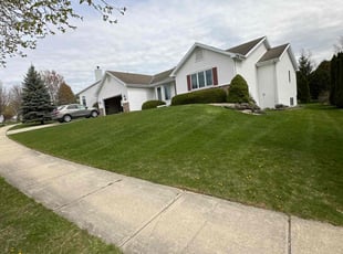 Annesia B.'s lawn maintenance service result