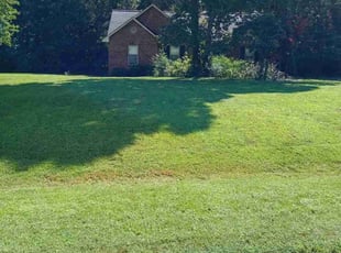 Christina W.'s lawn maintenance service result