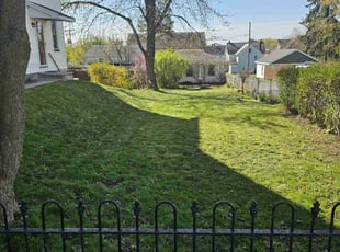 Merridy G.'s grass maintenance service result