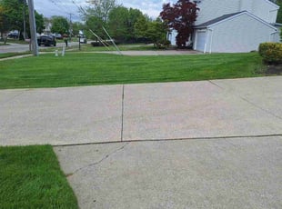 Ralph L.'s grass maintenance service result