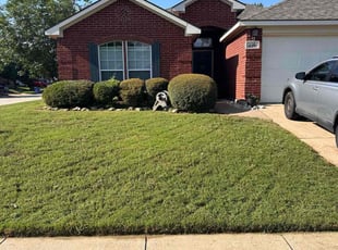 Ed M.'s turf maintenance service result