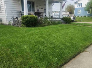 Ileana V.'s lawn care services service result