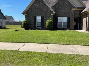 Ben P.'s lawn care service result
