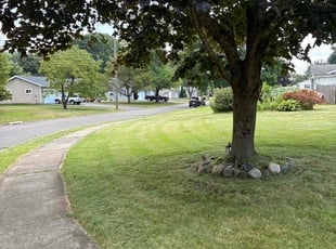 Maressa P.'s grass cutting service result