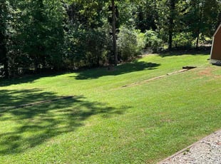 Josh S.'s turf care service result