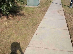 Dwayne A.'s turf care service result