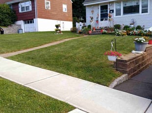 Paul W.'s lawn service service result